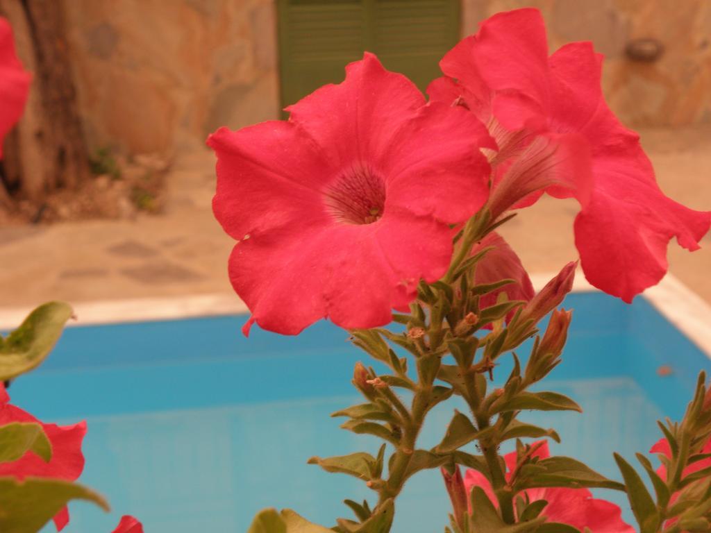Ampoulos Rooms & Apartments Кедро Экстерьер фото